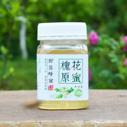 野蕊槐花蜂蜜/槐花原蜜500g/瓶   1000g/瓶 商品图4