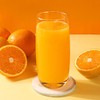 果汁粉鲜橙汁粉冲饮果汁饮品固体饮料冲剂速溶甜橙粉橘子粉酸梅粉 商品缩略图2