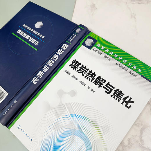 煤炭热解与焦化--煤炭清洁转化技术丛书 商品图4