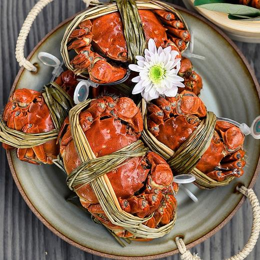 【签收超8小时死蟹不包赔，售后请在线反馈】鲜知臻食*阳澄股份大闸蟹颂品级（公蟹4.0两*5只母蟹3.0两*5只）【ZHCYMZQDX5.4】 商品图3