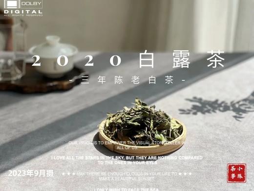 【会员福利拍3发4】2020白露茶，花香隽永、浆感丰沛（60克罐装） 商品图1