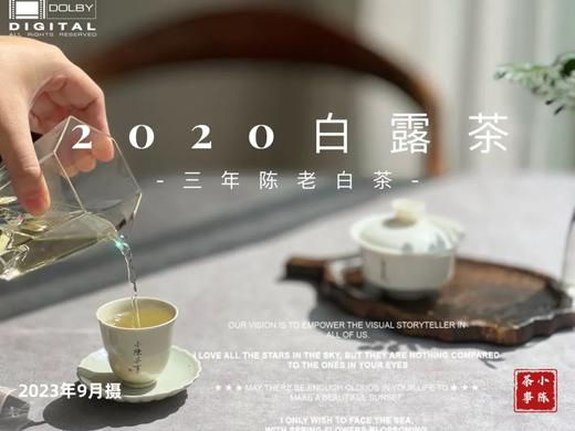 【会员福利拍3发4】2020白露茶，花香隽永、浆感丰沛（60克罐装） 商品图7
