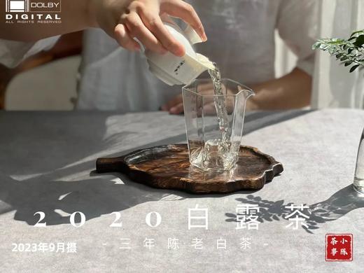 【会员福利拍3发4】2020白露茶，花香隽永、浆感丰沛（60克罐装） 商品图5