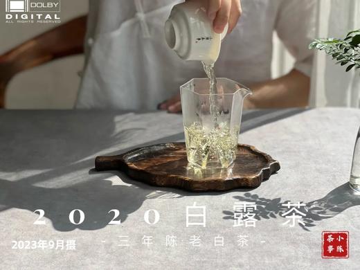 【会员福利拍3发4】2020白露茶，花香隽永、浆感丰沛（60克罐装） 商品图4