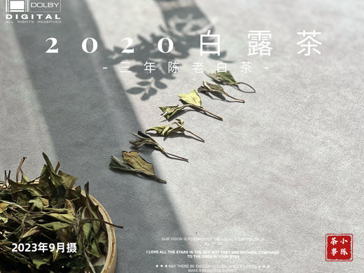 2020高山白露茶，花香隽永、浆感丰沛 商品图2