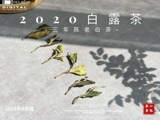 2020高山白露茶，花香隽永、浆感丰沛 商品图3