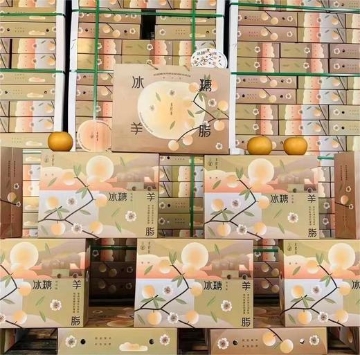 冰糖羊脂秋月梨  | 水果礼盒 商品图4