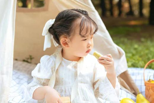 XBY 采华之滋【天然蜂蜜润唇膏膏】 商品图3