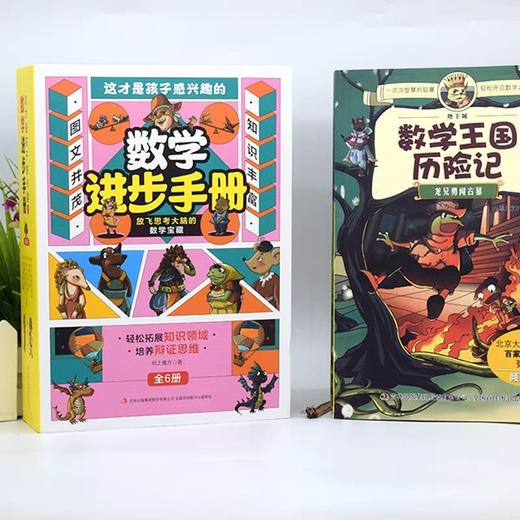 这才是孩子感兴趣的数学进步手册全套6册 数学王国历险记儿童读物童话集故事漫画7-8-11岁小学生三四五六年级课外趣味逻辑思维训练 商品图3