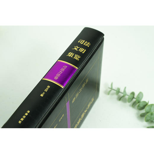 司法文明集览·司法方法卷   陈金钊主编 商品图8