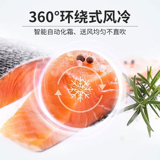 海尔（Haier）409升法式多门风冷无霜一级能效双变频大容量超薄嵌入净味除菌三档变温母婴钢化玻璃面板家用冰箱 商品图4