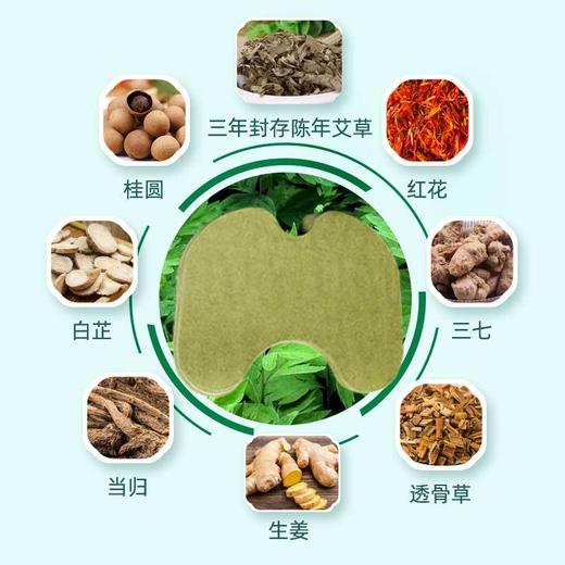 艾灸贴【艾草关节贴】艾草自发热温灸  中老年颈椎腰椎膝盖贴  穴位关节保健贴 商品图2