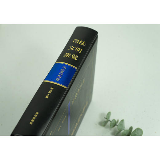 司法文明集览·司法机构卷  郭立新主编 商品图3