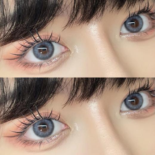 M12巴赫灰 │ 大直径日抛 CLAIRE COLOR 商品图4