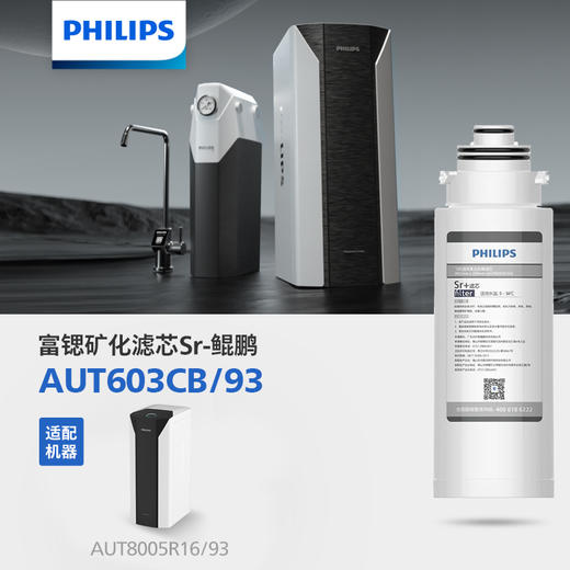 飞利浦（PHILIPS）厨下净水器滤芯AUT603CB/93 适用：AUT8005R16/93 AUT8005R21/93 商品图0