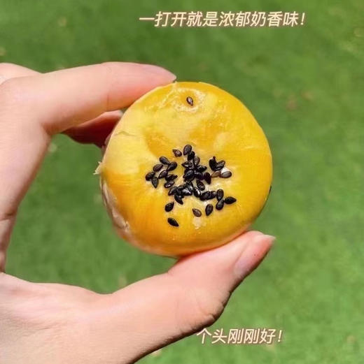 周三送，轩妈家蛋黄酥，蛋黄酥里的爱马仕，馅料足，口感好，吃完回味无穷，和咸蛋黄搭配起来真的很好吃！6枚/盒，一组两盒 商品图1