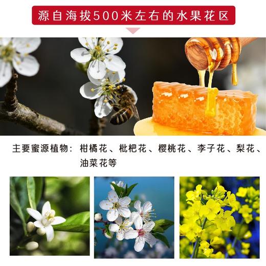 峰鹤土蜂蜜隐谷400g 商品图3