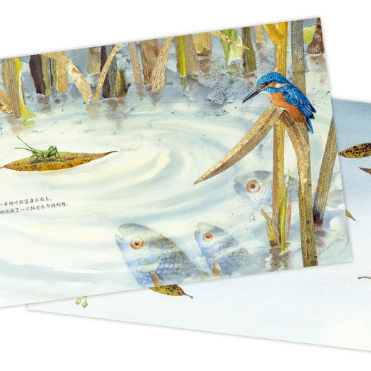 【点读版】绘本花园：风中的树叶（精） 商品图2