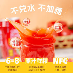 【2023年新货】（京东/顺丰）冠农番倍爽（无糖）番茄汁 零添加  番茄