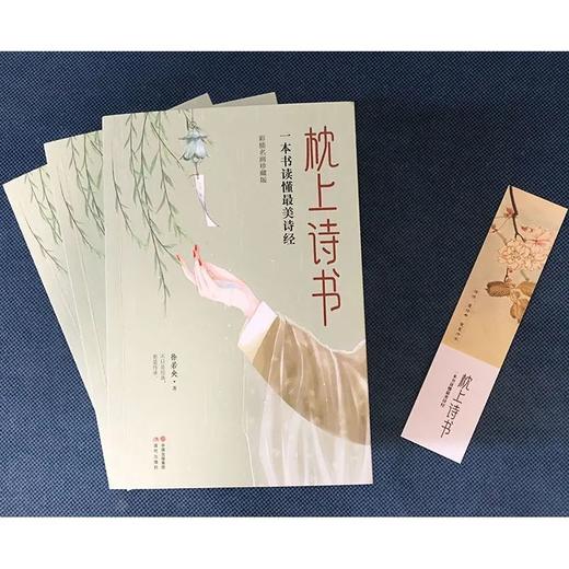 枕上诗书一本书读懂诗经的诗中国诗词大会诗经故事书籍 商品图2