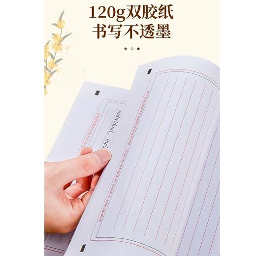 高考英语作文纸英语高中学生A4双面英语作文纸考试专用英语练习草稿纸1包20张 商品图2