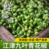 【炊夫】江津保鲜花椒 精选九叶青花椒 去腥提味 出口级别 畅销17年 美味的秘密 商品缩略图1