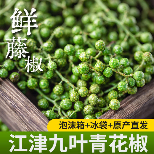 【炊夫】江津保鲜花椒 精选九叶青花椒 去腥提味 出口级别 畅销17年 美味的秘密 商品图1