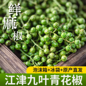 【炊夫】江津保鲜花椒 精选九叶青花椒 去腥提味 出口级别 畅销17年 美味的秘密