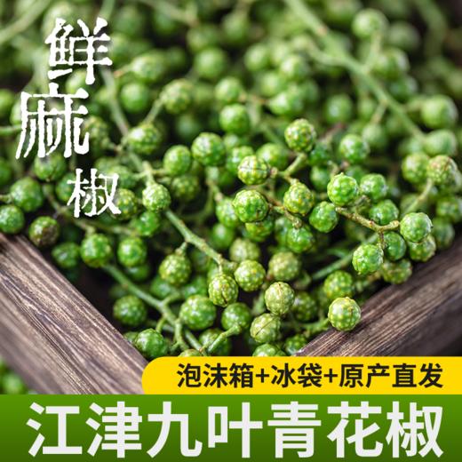 【炊夫】江津保鲜花椒 精选九叶青花椒 去腥提味 出口级别 畅销17年 美味的秘密 商品图0