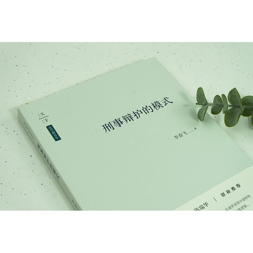 天下·法学新青年 刑事辩护的模式  李奋飞著 商品图4