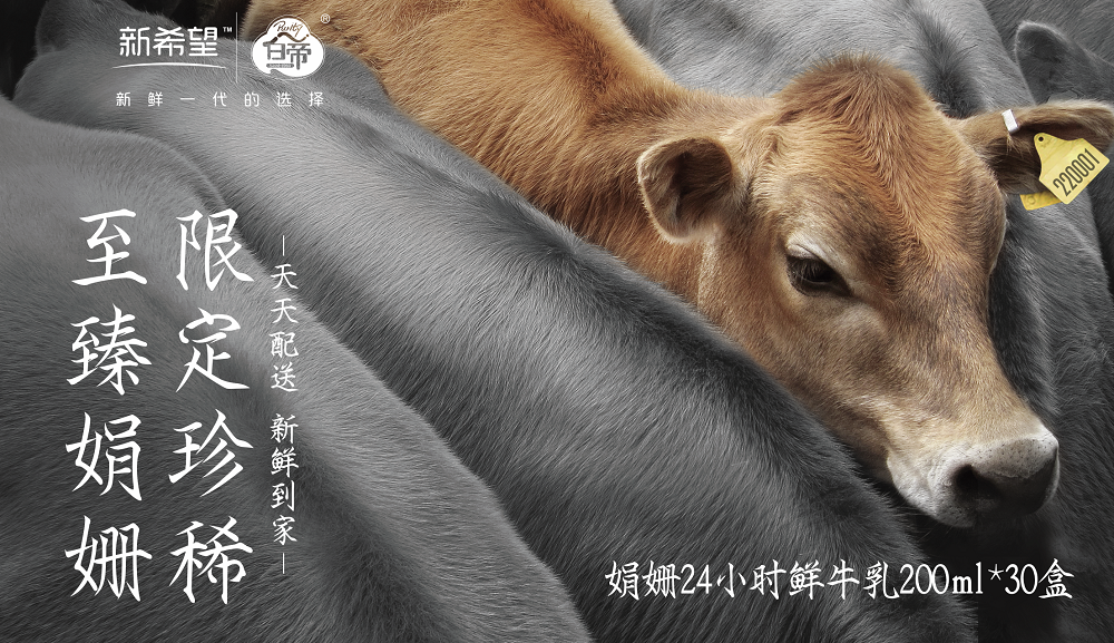 娟珊鲜牛乳月卡