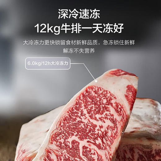 【下单前咨询地址库存】海尔（Haier）406升 一级能效双变频十字双开四开多门家用冰箱超薄BCD-406WLHTDEDSLU1大容量406升级款 商品图5