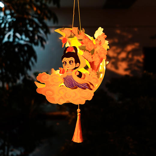 29元/2个中秋花形灯笼，送LED灯+挂绳，造型别致，可摆件可手提 中秋节儿童手工灯笼 商品图4