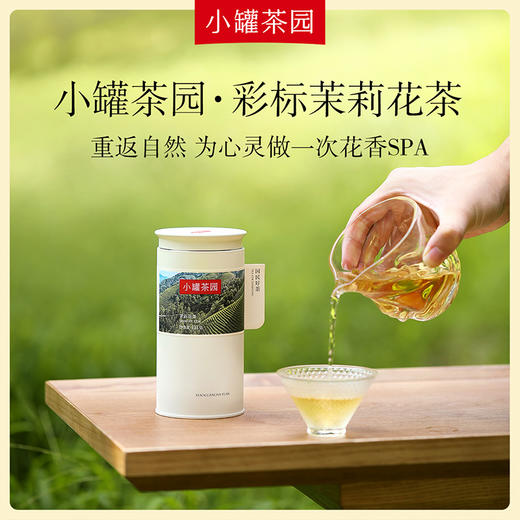 小罐茶园 茉莉花  彩标单罐装 5A中国茶  135g 【现货】 商品图1