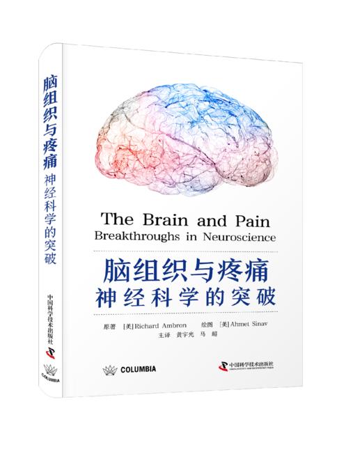 2023年新书：脑组织与疼痛：神经科学的突破 黄宇光、马超译（中国科学技术出版社） 商品图0