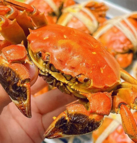 阳澄湖蟹业协会认证防伪丨阳澄湖大闸蟹（蟹卡），正宗阳澄湖湖蟹，无蟹可及，给您一次怦然心动的蟹逅