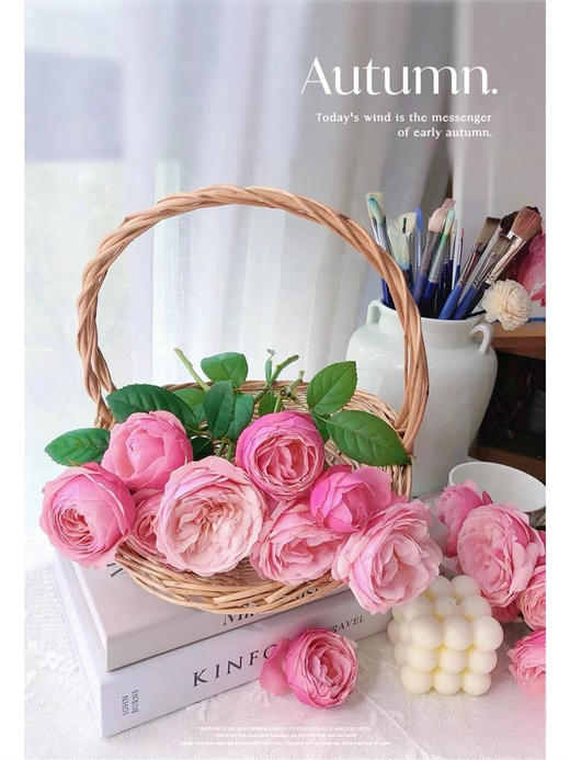 肯尼亚Silva Pink樱桃小丸子多头玫瑰花5支 商品图5