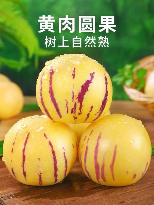 【新品】石林人参果 商品图0