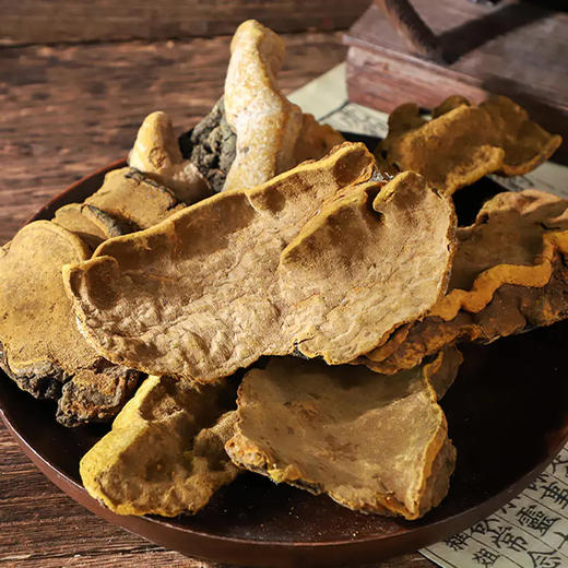 西藏 察隅野生桑树桑黄250g/500g 礼盒装（10/20/30N） 商品图1