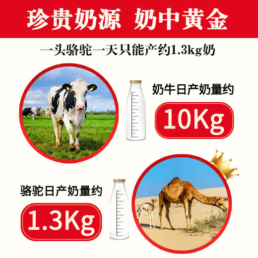 添贝乐国药集团多维全营养驼奶320克/桶 商品图2