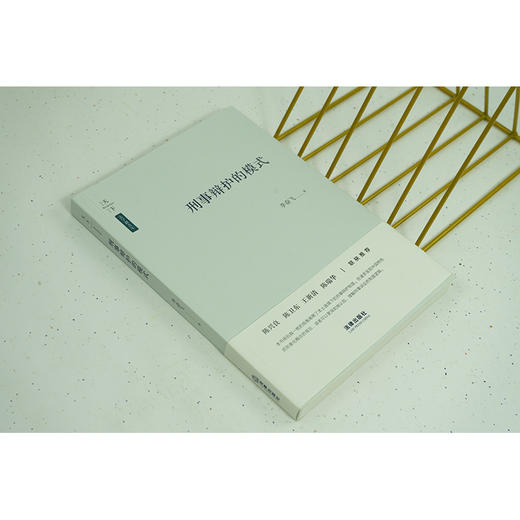 天下·法学新青年 刑事辩护的模式  李奋飞著 商品图3