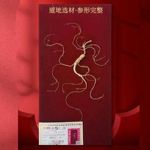 【板牙风物】长白山人参20年干参 商品图0