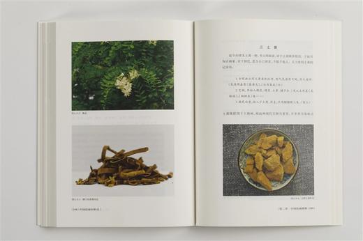 【红星宣纸样本已赠完】中国绘画材料史|蒋玄佁著|朵云文库·学术经典  商品图13