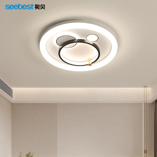 小漫夏曲-卧室灯(智能离线语音控制) 商品图2