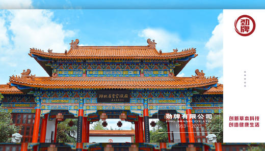 劲情卡-经典卡面 商品图0