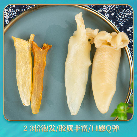 黄花筒鱼胶海味干货批发 厂家现货供应黄花胶鱼肚鱼鳔孕补 商品图1