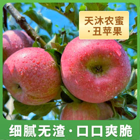 【新品】丑苹果