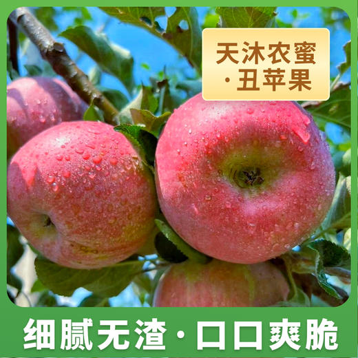 【新品】丑苹果 商品图0