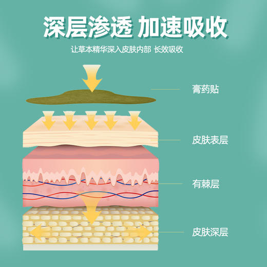 艾灸贴【艾草关节贴】艾草自发热温灸  中老年颈椎腰椎膝盖贴  穴位关节保健贴 商品图3