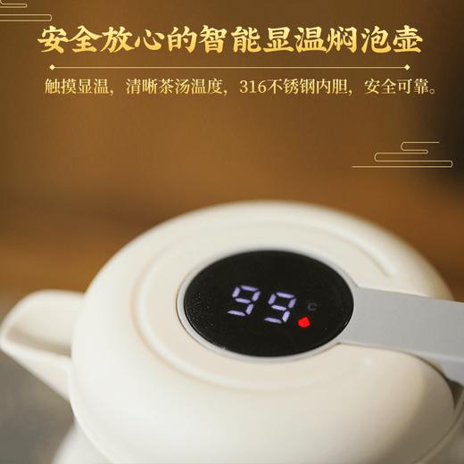妙贡堂陈皮白茶焖壶组合2014年新会老陈皮搭配2016年福鼎白茶配闷泡壶  400克（80袋） 商品图6